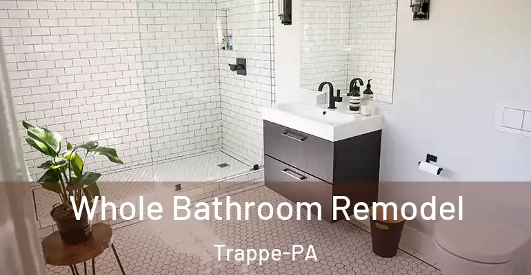inner Bathroom imggen Whole Bathroom Remodel Trappe-PA