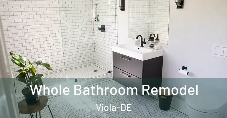 inner Bathroom imggen Whole Bathroom Remodel Viola-DE