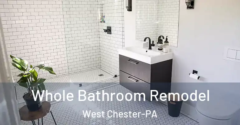 inner Bathroom imggen Whole Bathroom Remodel West Chester-PA