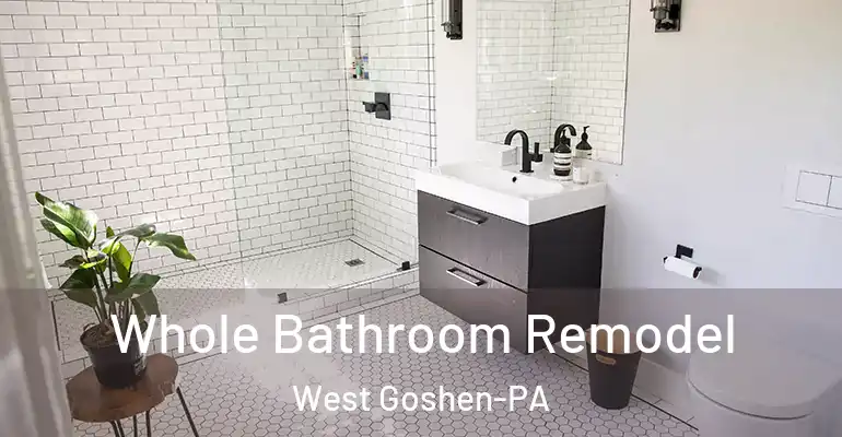 inner Bathroom imggen Whole Bathroom Remodel West Goshen-PA