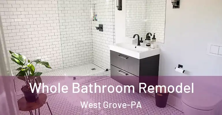 inner Bathroom imggen Whole Bathroom Remodel West Grove-PA