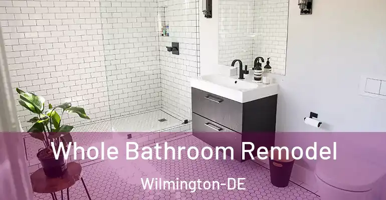 inner Bathroom imggen Whole Bathroom Remodel Wilmington-DE
